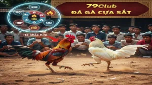 Kinh nghiệm chọn chiến kê dựa trên màu mạng tại 79Club