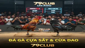 Luật Chơi Đá Gà Cựa Sắt Và Cựa Dao Chi Tiết Tại 79Club